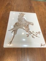 %d8%b4%d8%a7%d8%a8%d9%84%d9%88%d9%86-%d8%ad%db%8c%d9%88%d8%a7%d9%86-ans39